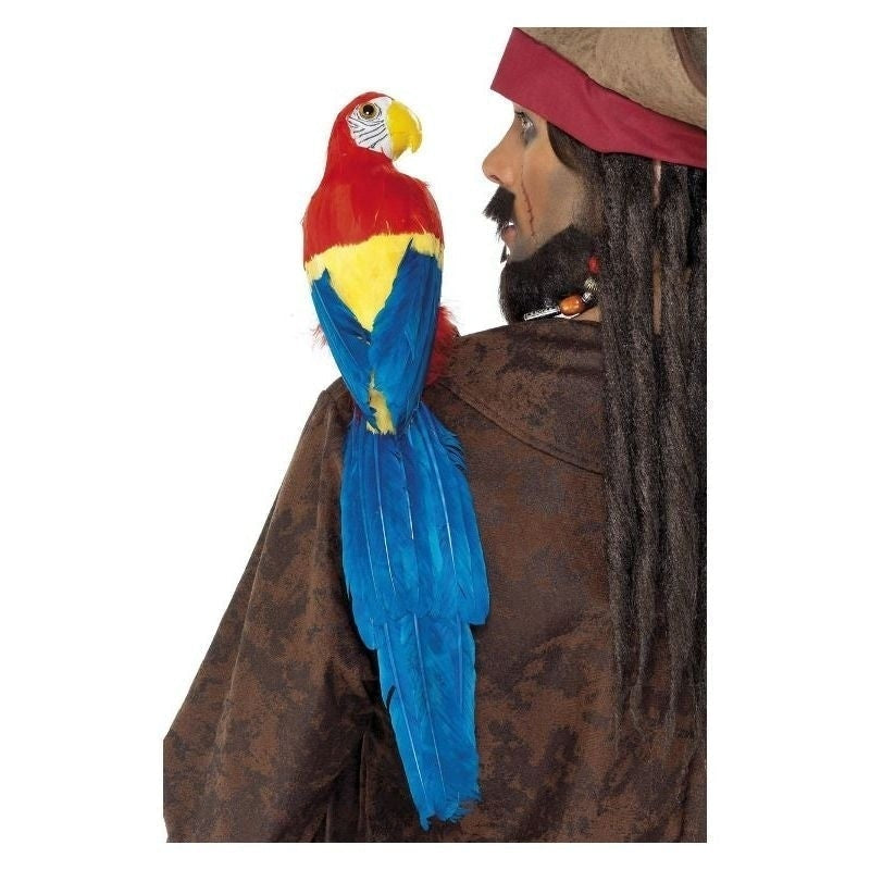 Parrot 50cm 20in Adult_2 