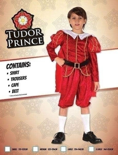 Tudor Prince Childrens Costume_1 CC302