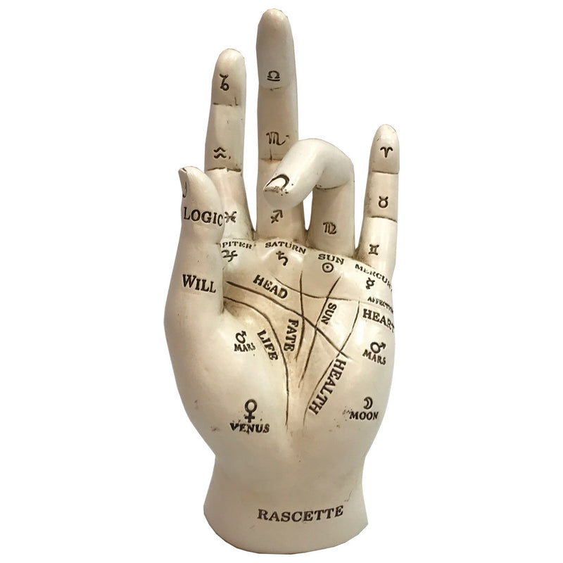 Palmistry Chriomancy Fortune Telling Hand Figurine 17.7cm