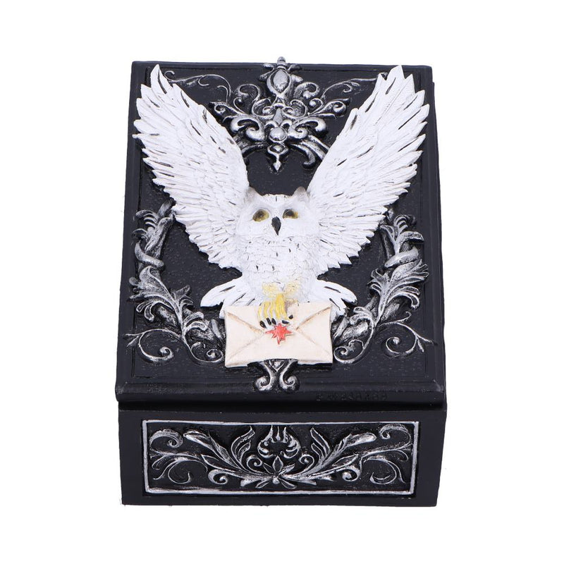 Owl Messenger Trinket Box 14cm