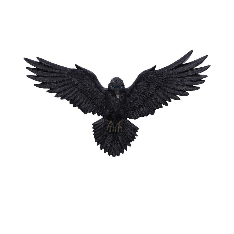 Flight of the Raven Wall Hanging Decoration 35cm