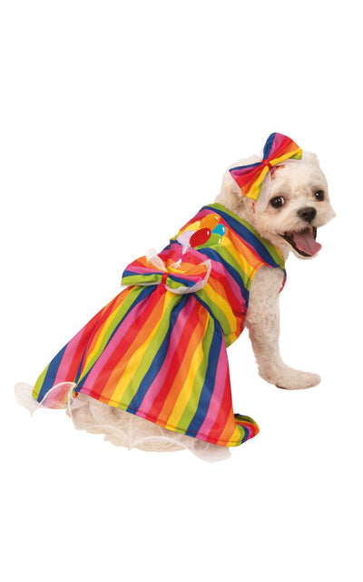 Pet Rainbow Party Dress Rubies _1