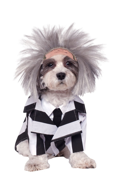 Beetlejuice Costume Black