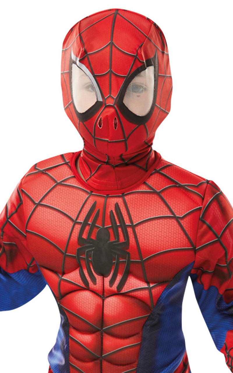 Deluxe Spiderman Rubies _4