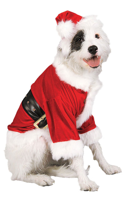 Santa Claus Pet Costume